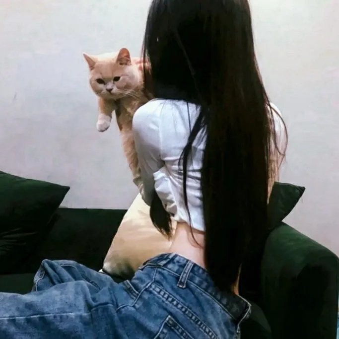 小乌龟的开学日